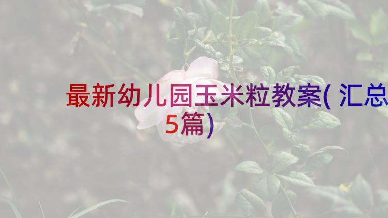 最新幼儿园玉米粒教案(汇总5篇)