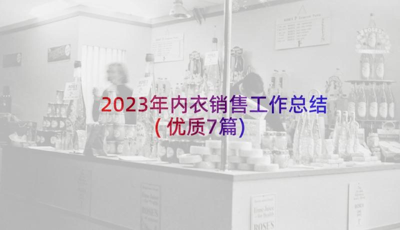 2023年内衣销售工作总结(优质7篇)