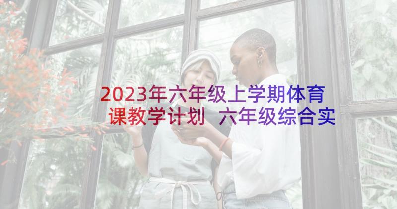 2023年六年级上学期体育课教学计划 六年级综合实践活动教学计划(大全5篇)