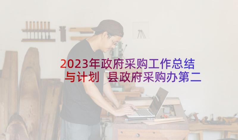 2023年政府采购工作总结与计划 县政府采购办第二阶段工作计划(通用5篇)