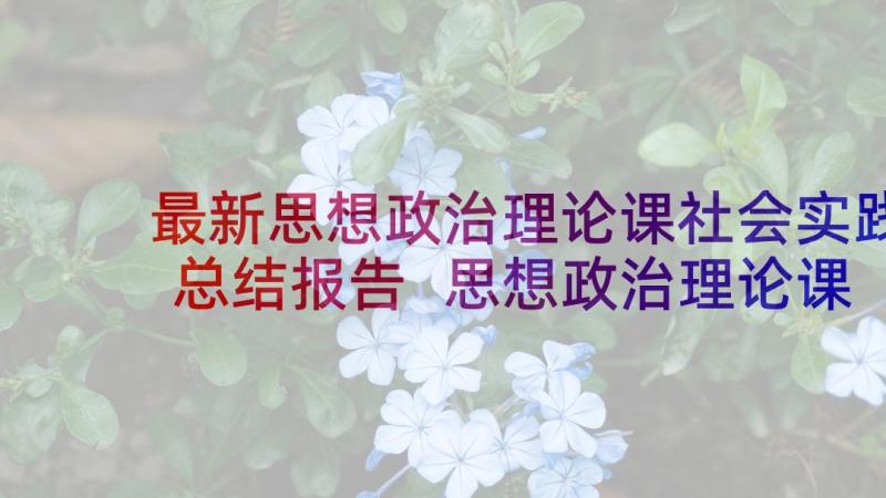 最新思想政治理论课社会实践总结报告 思想政治理论课的社会实践报告(优质5篇)