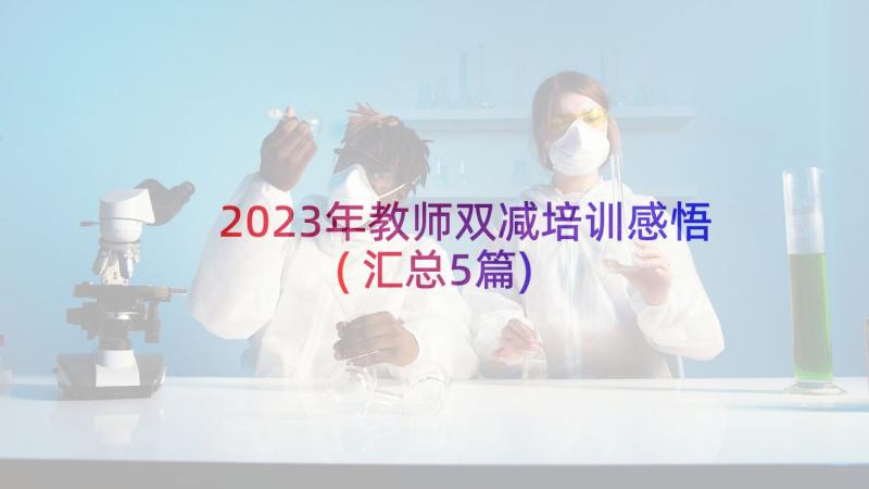 2023年教师双减培训感悟(汇总5篇)