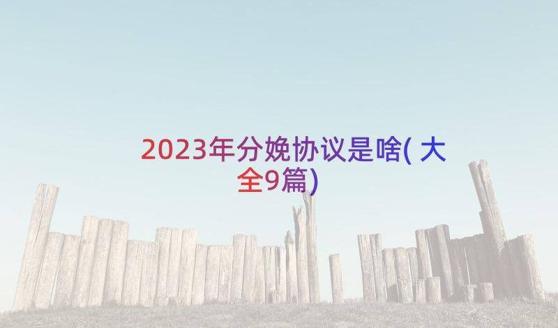 2023年分娩协议是啥(大全9篇)