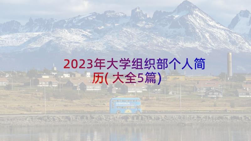 2023年大学组织部个人简历(大全5篇)