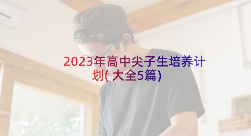 2023年高中尖子生培养计划(大全5篇)