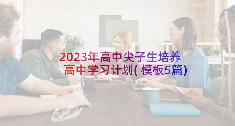 2023年高中尖子生培养 高中学习计划(模板5篇)
