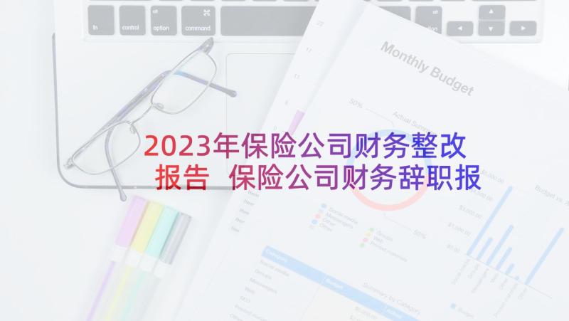 2023年保险公司财务整改报告 保险公司财务辞职报告(实用5篇)