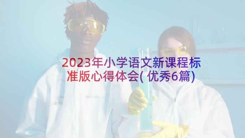 2023年小学语文新课程标准版心得体会(优秀6篇)