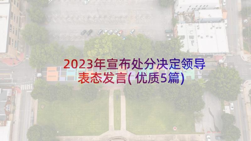 2023年宣布处分决定领导表态发言(优质5篇)