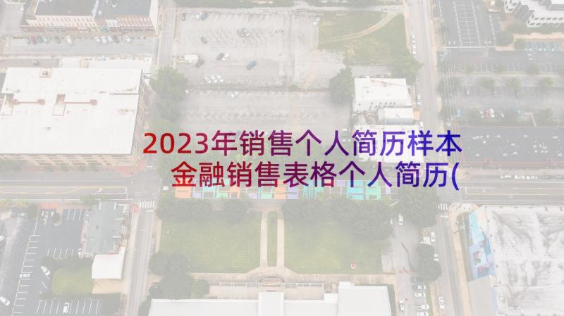 2023年销售个人简历样本 金融销售表格个人简历(优秀6篇)