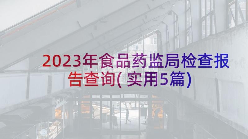 2023年食品药监局检查报告查询(实用5篇)