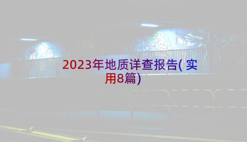 2023年地质详查报告(实用8篇)