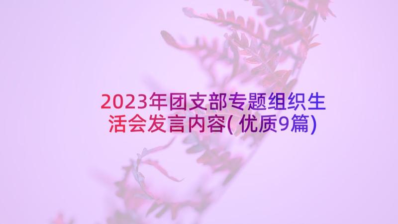 2023年团支部专题组织生活会发言内容(优质9篇)