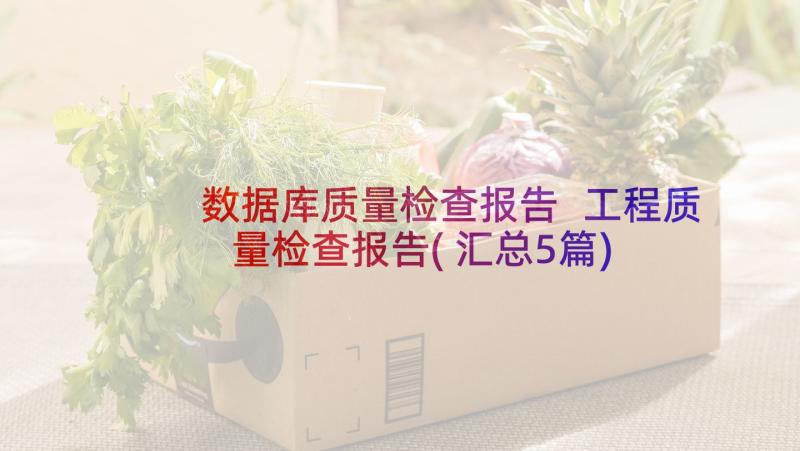 数据库质量检查报告 工程质量检查报告(汇总5篇)