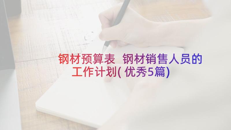 钢材预算表 钢材销售人员的工作计划(优秀5篇)