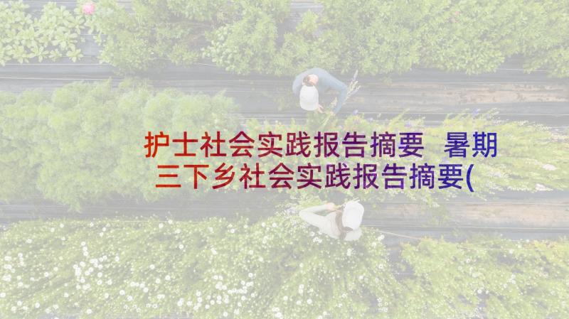 护士社会实践报告摘要 暑期三下乡社会实践报告摘要(大全5篇)