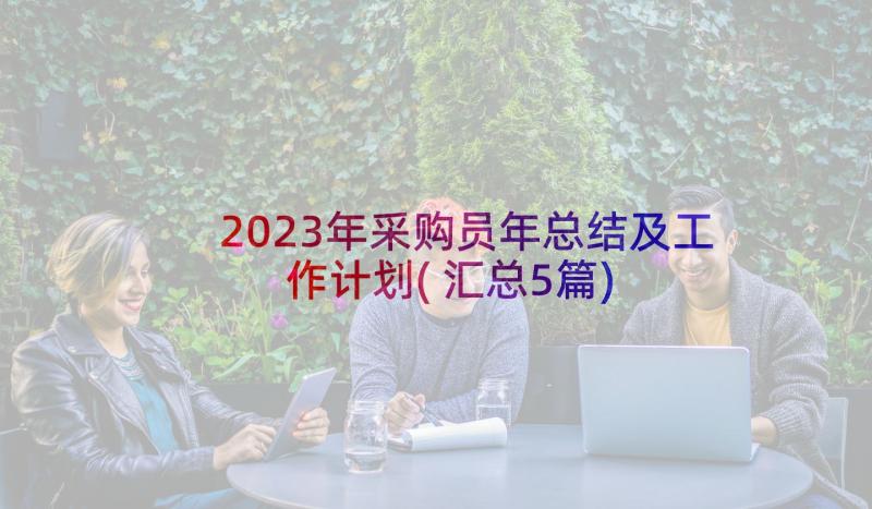 2023年采购员年总结及工作计划(汇总5篇)