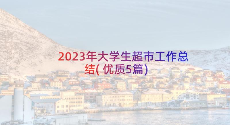 2023年大学生超市工作总结(优质5篇)