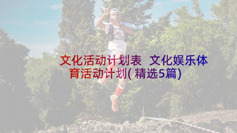 文化活动计划表 文化娱乐体育活动计划(精选5篇)