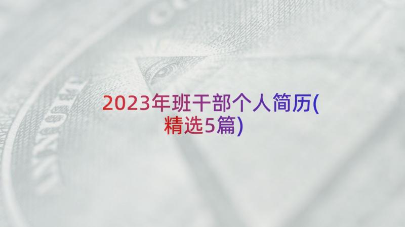 2023年班干部个人简历(精选5篇)