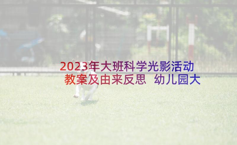 2023年大班科学光影活动教案及由来反思 幼儿园大班科学活动光影一家亲教案(通用5篇)