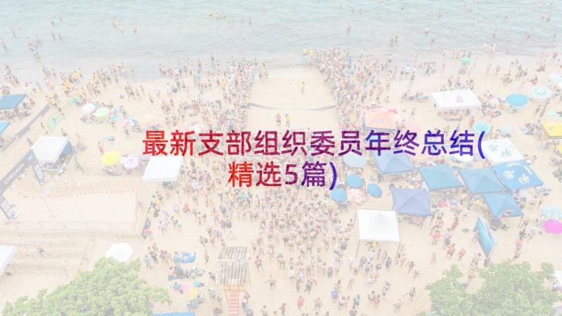 最新支部组织委员年终总结(精选5篇)