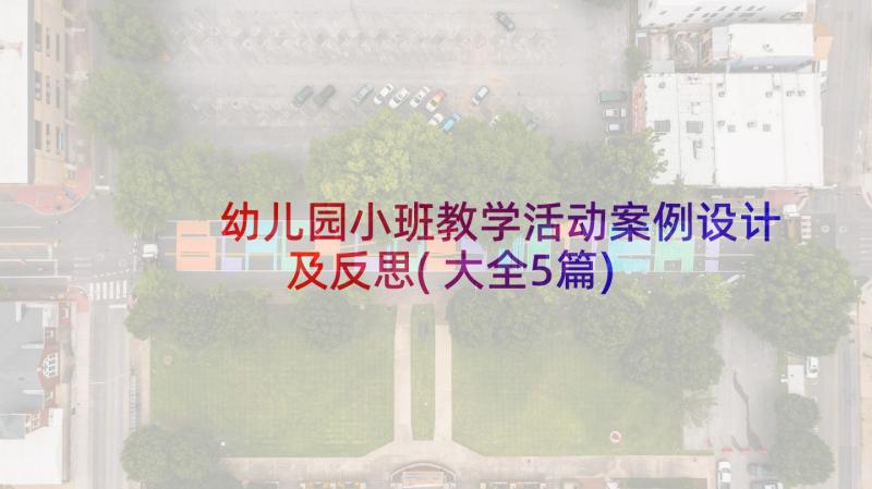 幼儿园小班教学活动案例设计及反思(大全5篇)