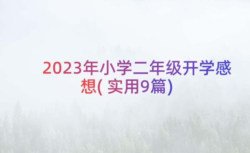 2023年小学二年级开学感想(实用9篇)