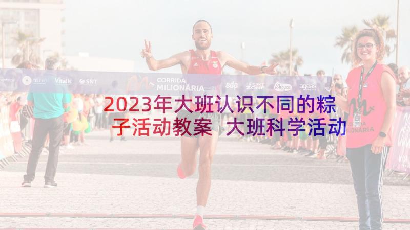 2023年大班认识不同的粽子活动教案 大班科学活动认识桥教案(优秀7篇)