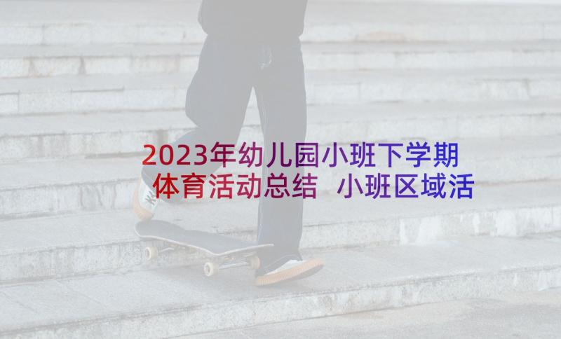 2023年幼儿园小班下学期体育活动总结 小班区域活动总结下学期(汇总5篇)