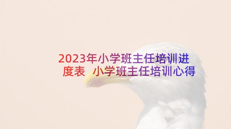 2023年小学班主任培训进度表 小学班主任培训心得班主任培训总结小学篇(优质10篇)