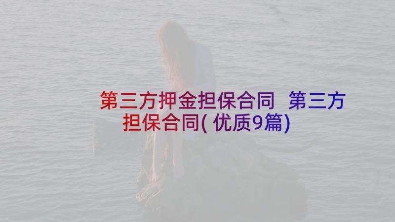 第三方押金担保合同 第三方担保合同(优质9篇)