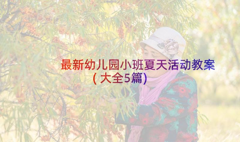 最新幼儿园小班夏天活动教案(大全5篇)