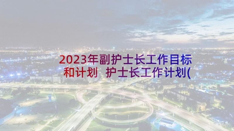 2023年副护士长工作目标和计划 护士长工作计划(精选6篇)