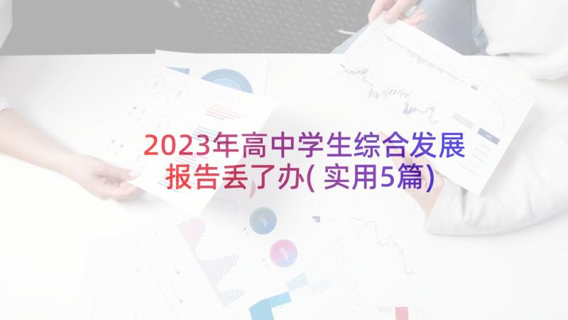 2023年高中学生综合发展报告丢了办(实用5篇)