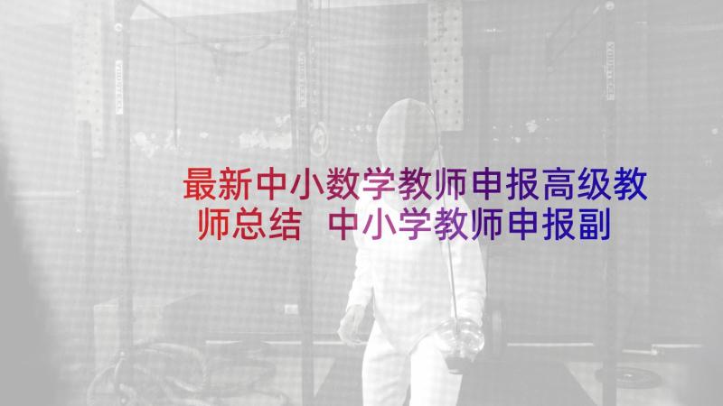 最新中小数学教师申报高级教师总结 中小学教师申报副高级职称履职总结(优质5篇)