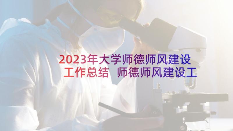 2023年大学师德师风建设工作总结 师德师风建设工作总结(优秀5篇)