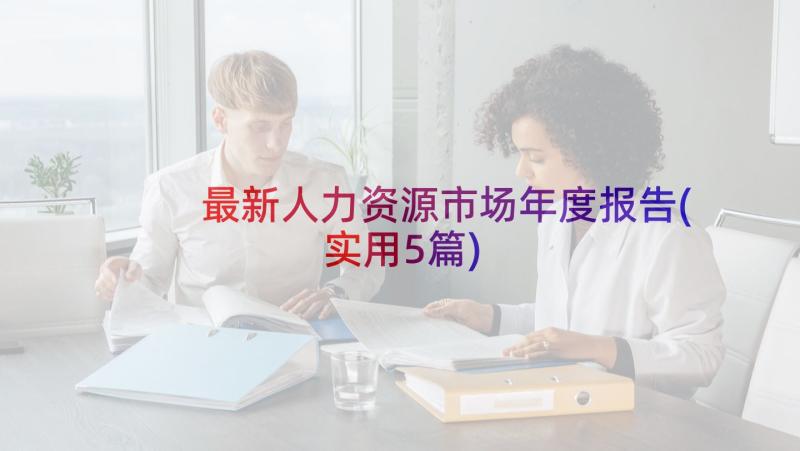 最新人力资源市场年度报告(实用5篇)