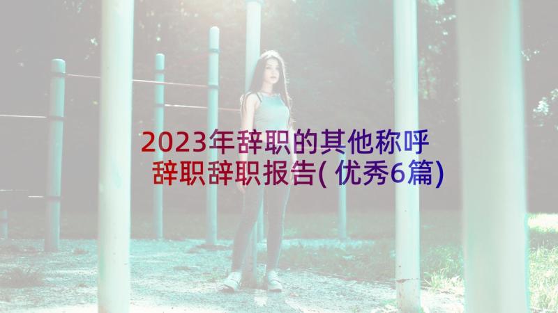 2023年辞职的其他称呼 辞职辞职报告(优秀6篇)