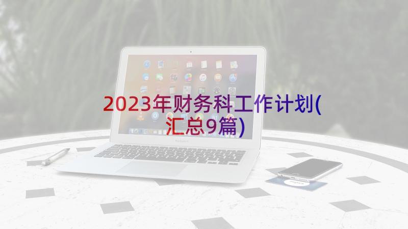 2023年财务科工作计划(汇总9篇)