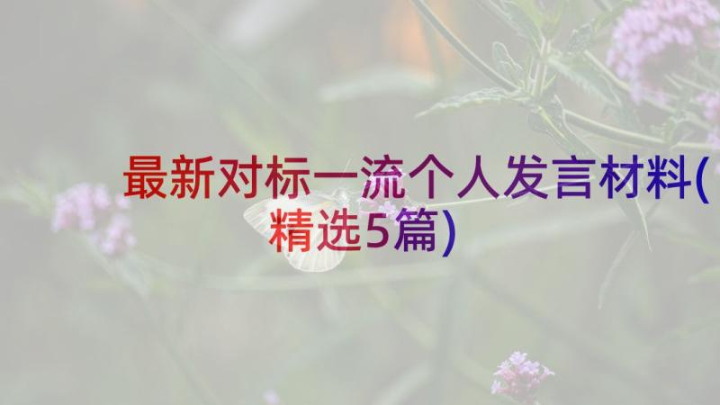 最新对标一流个人发言材料(精选5篇)