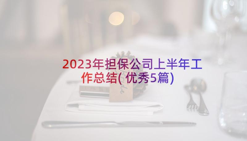 2023年担保公司上半年工作总结(优秀5篇)