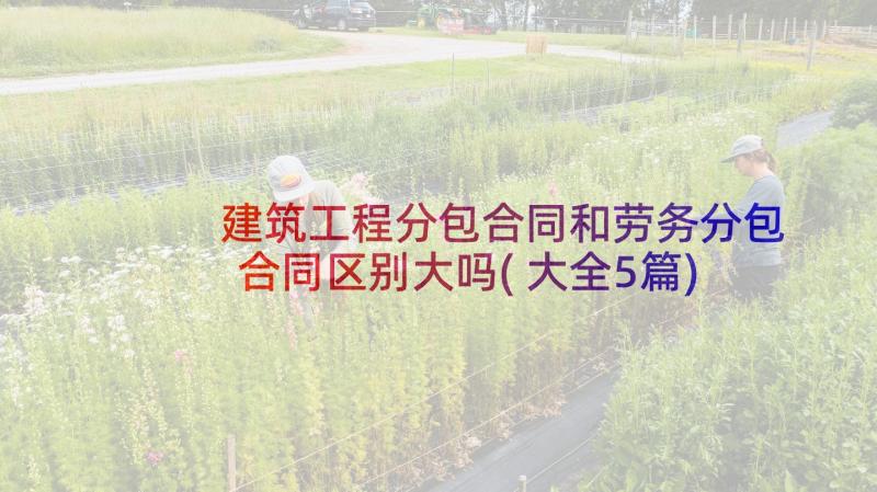 建筑工程分包合同和劳务分包合同区别大吗(大全5篇)