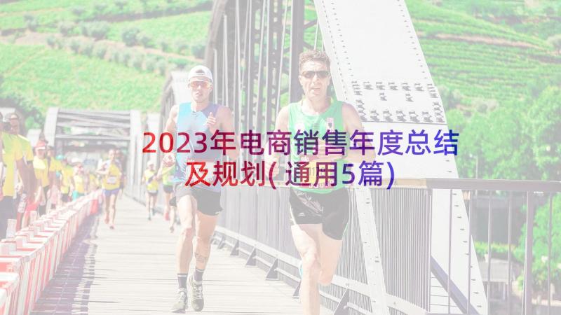 2023年电商销售年度总结及规划(通用5篇)