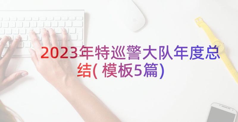 2023年特巡警大队年度总结(模板5篇)