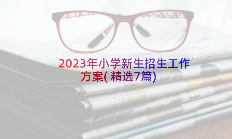 2023年小学新生招生工作方案(精选7篇)