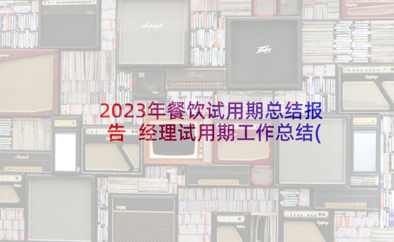 2023年餐饮试用期总结报告 经理试用期工作总结(通用5篇)