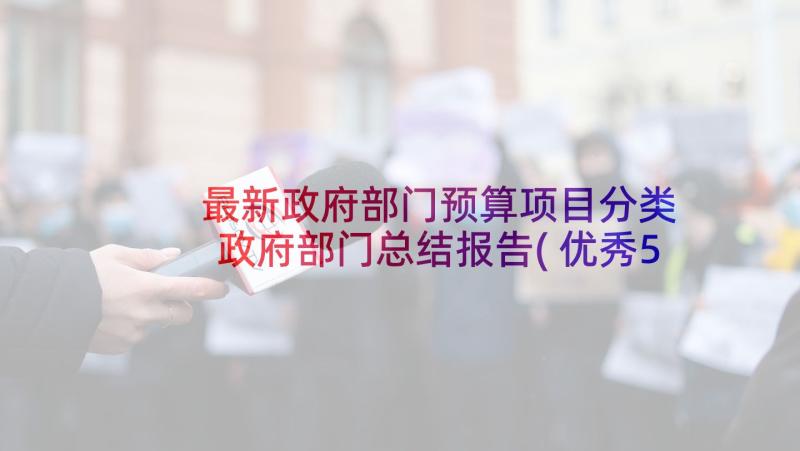 最新政府部门预算项目分类 政府部门总结报告(优秀5篇)