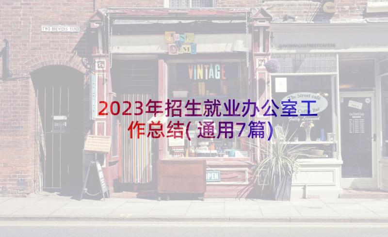 2023年招生就业办公室工作总结(通用7篇)