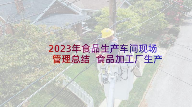 2023年食品生产车间现场管理总结 食品加工厂生产车间卫生管理制度(优质5篇)